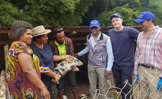 パプアニューギニア養豚農場でのプロジェクト（同社提供）