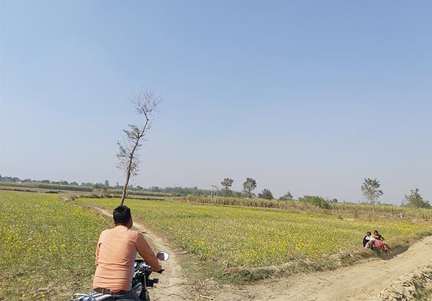 スタートアップが農業のデジタル化を後押ししている＝2020年12月、インド・東部ビハール州（ＮＮＡ撮影）