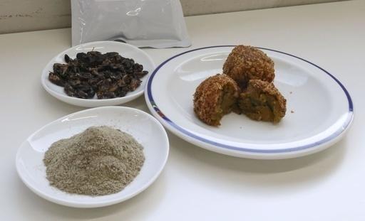 徳島県立小松島西高の給食で提供されたかぼちゃコロッケ（右）。乾燥させた食用コオロギ（左奥）の粉末が使用されている＝28日（共同）