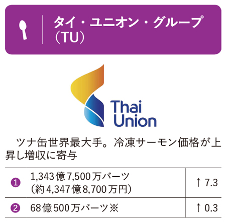 東南アの主要プレーヤー概要