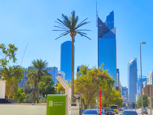 ヤシに擬態した通信塔。ファーウェイから調達した5G基地局を設置=2019年12月、UAE・アブダビ