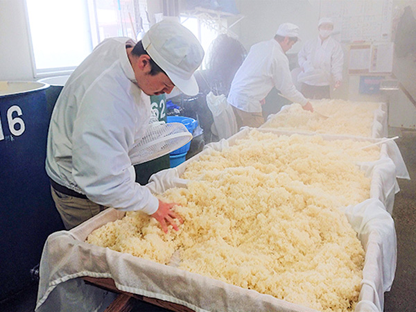 酒造りの仕込み作業をするねっかの蔵人=21年12月9日、ねっかの酒蔵(NNA撮影)
