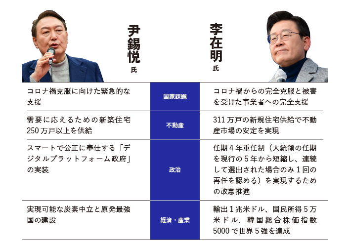 公約は?