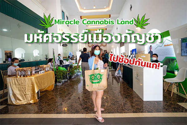 大麻・ヘンプを想起するグリーンがイメージカラー(フェイスブック公式ページより)