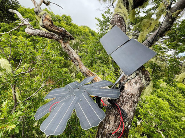 熱帯雨林のさまざまな音を採取するＩｏＴ機器。太陽光パネルを使い発電・蓄電し24時間稼働する（同社提供）