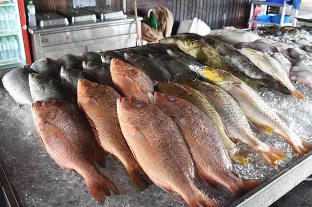 漁村ペンダスの海上レストランには、この地域で獲れた魚が並ぶ＝７日（ＮＮＡ撮影）