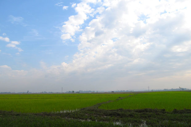 ヤンゴン北方の農村