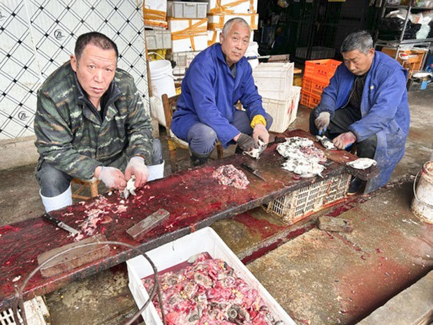 移転して営業を再開した「華南海鮮卸売市場」の店頭でカメをさばく市場関係者ら＝３月、中国湖北省武漢市（共同）