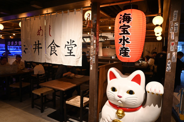 赤ちょうちんに招き猫。昭和日本のリアリティーはともかくも、怪しいレトロ感を醸し出している＝10日、尖沙咀（ＮＮＡ撮影）