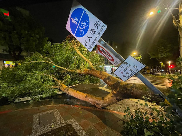 台風21号による強風で、台北市松山区では街路樹や道路標識が倒れた＝10月31日（中央通信社）
