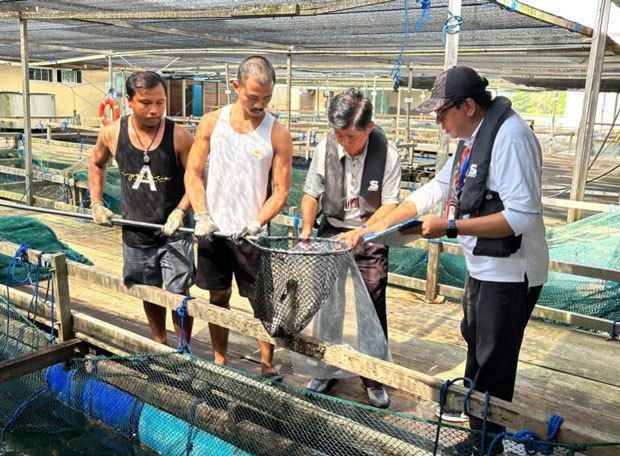 シンガポールの2024年の野菜、海産物の自給率は前年を下回る水準となった（食品庁の公式フェイスブックより）