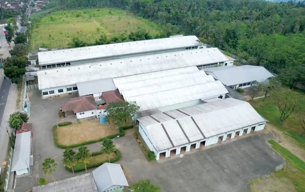 南海プライウッドのインドネシア子会社が東ジャワ州ジュンベルに建設した第３工場（同社提供）