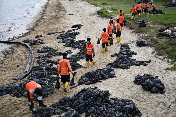シンガポール南部のコンテナ港沖で2024年６月に船舶が衝突して燃油が流出した事故で、国際油濁補償基金に対して油濁損害に関する賠償請求が589件近く寄せられている（ST PHOTO: LIM YAOHUI）