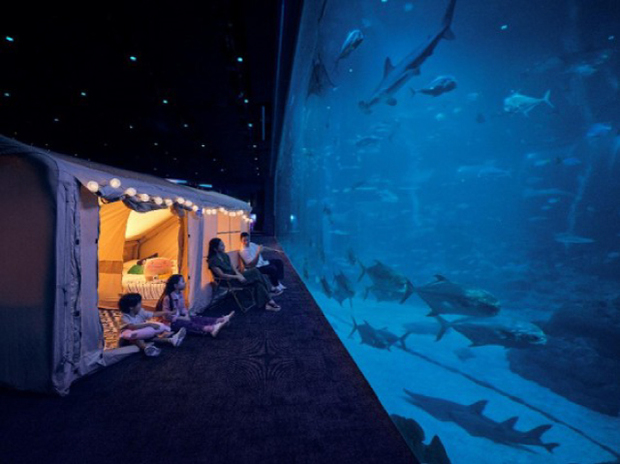 リゾート・ワールド・セントーサは、施設内の水族館で宿泊体験プログラムを実施すると発表した（同社提供）