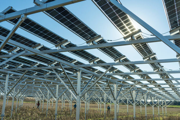 テラは営農と太陽光発電を両立させるシステムの開発を手がけている（同社提供）