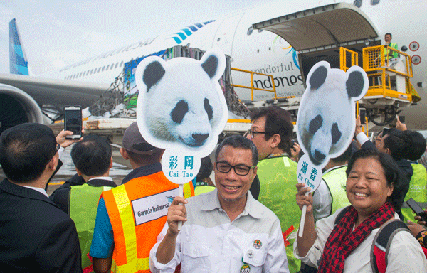 ＜フォトニュース＞ジャイアントパンダの「彩陶」と「湖春」がインドネシアに到着、人々から歓迎を受けた＝９月28日、ジャカルタ（新華社）