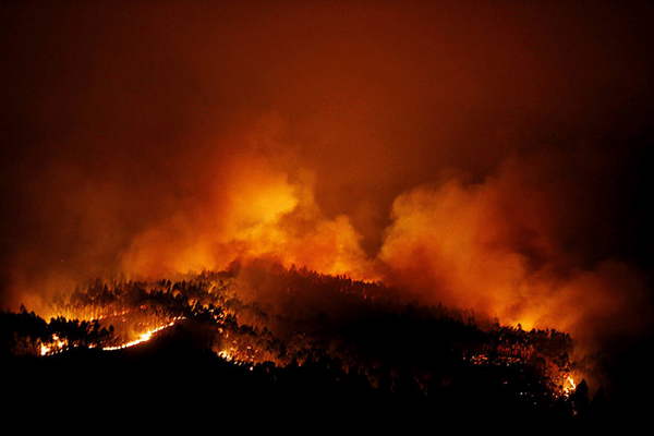 番外編 欧州各地で森林火災と熱波 Nna Europe Eu 社会 事件