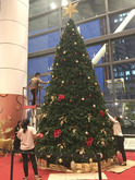 高級オフィスビル「バタナック・キャピタル」で進むクリスマスツリーの飾り付け＝12月中旬、プノンペン（筆者撮影）