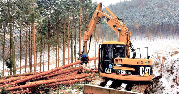 丸紅木材は関連会社が保有する日本の山林などから伐採したヒノキをベトナムで加工し、日本や韓国などへ輸出する（同社提供）