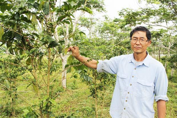 ボラベン高原でコーヒーを栽培する山本ファームの山本社長＝７月５日、ラオス・チャンパサック県（ＮＮＡ撮影）