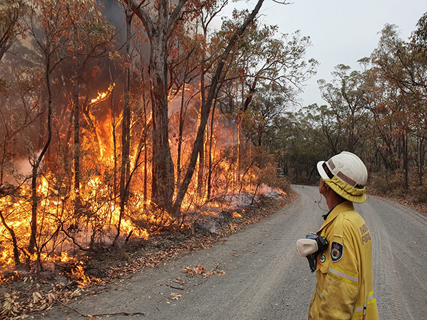 有為転変 第139回 山火事をどう抑える Nna Asia オーストラリア 社会 事件