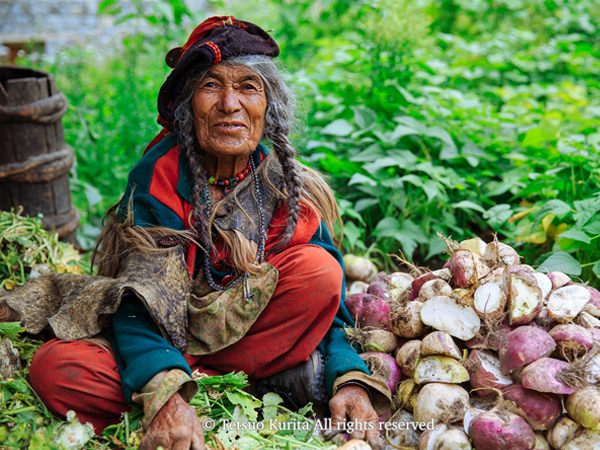 農作業中のチベット系民族ラダック人の女性＝インド・ラダック連邦直轄領撮影