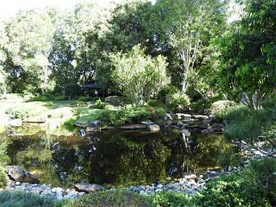 市立マウントクーサ植物園内の日本庭園