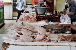 伝統市場などでは鶏肉は常温で管理されることが多い（ＮＮＡ撮影）