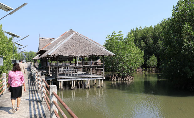 タイ湾の近くに立地するクロンピタヤロンコン小学校の敷地内にあるマングローブ林と海水が流れ込む池は、子どもたちが生きる知恵を学ぶ場となっている＝21年２月15日、タイ・バンコク（ＮＮＡ撮影）