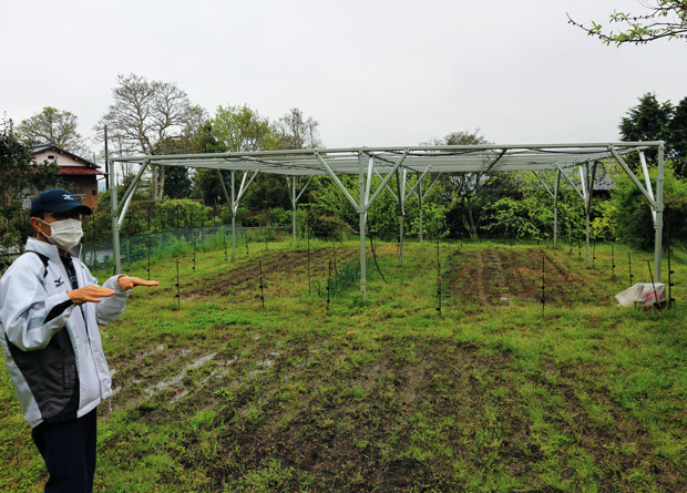 ４月に特許を取得した太陽光発電システムを設置したソーラーシェアリング実証試験場を案内する長島氏＝４月20日、千葉県市原市（ＮＮＡ撮影）