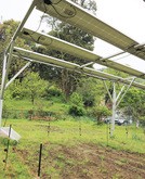 耐風性を高めた新たな太陽光発電システム。農地上のパネルは夏場の農作業の負担を軽減する働きもある＝４月20日、千葉県市原市（ＮＮＡ撮影）
