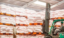 国営肥料ププック・インドネシアは、ウクライナ危機により世界的な肥料原料の供給に混乱が生じているものの、同社の年内の生産に影響はないと明らかにした（同社提供）