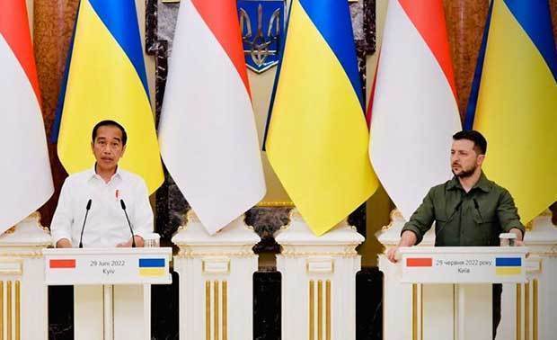 ジョコ大統領（左）はウクライナを訪問し、ゼレンスキー大統領と会談した＝６月29日（内閣官房提供）
