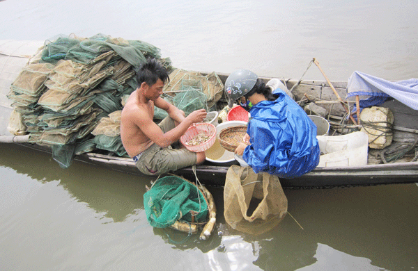 ベトナム中部トゥアティエンフエ省の河口で漁を終えて魚やカニを仕分ける零細漁業者 