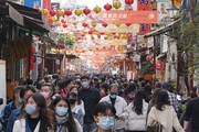 春節（旧正月）を前に台北市の迪化街一帯は年末用品を買い求める人たちでにぎわった＝15日（中央通信社）